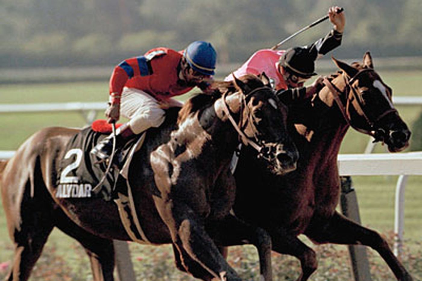 Alydar running neck and neck with his rival, Affirm, at one of the 1978 Triple Crown races. In 1990, Alydar was euthanized at his home in Calumet Farm under suspicious circumstances surrounding the financial collapse of its owner.